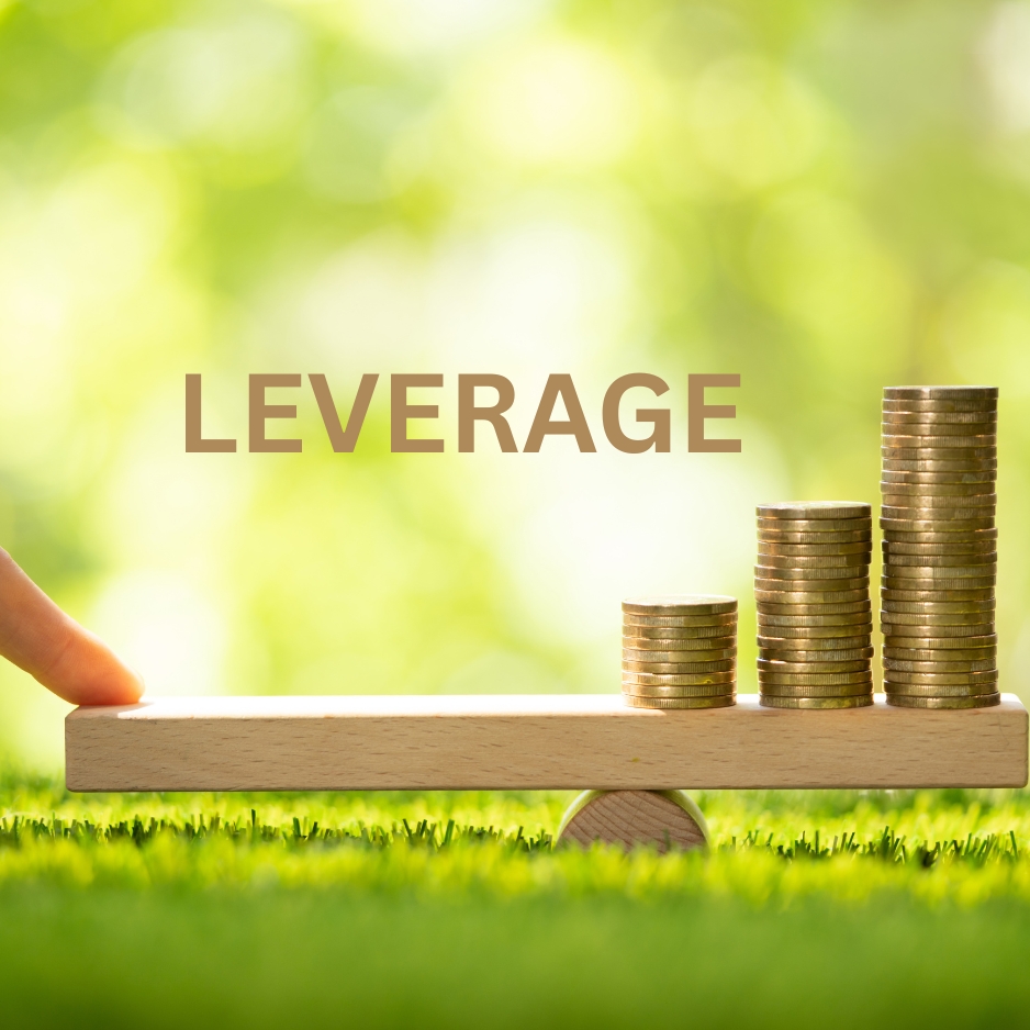 Meaning of Leverage in LPM