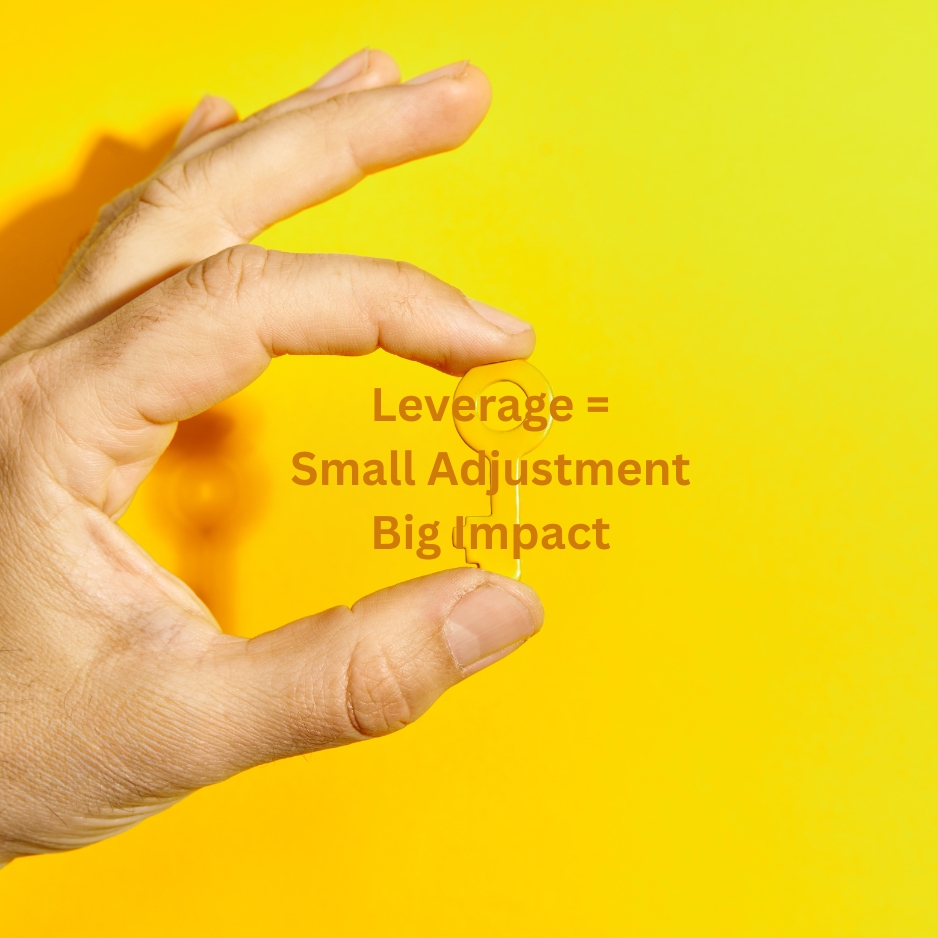 The Systems View – Leverage as a Change Multiplier